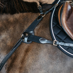 Jachtborsttuig 5 punten met elastieken D Collection Dy'on Zwart