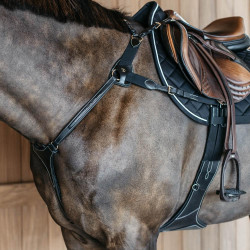 Jachtborsttuig 5 punten met elastieken D Collection Dy'on Zwart