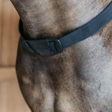 Collier de chasse élastique New English Collection Dy'on Noir
