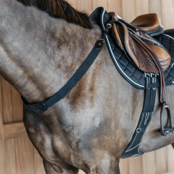 Elastische voortuig New English Collection Dy'on Zwart