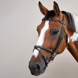 Combinatie Neusriem met Bakstukken en Musketons Working by Dy'on Zwart Combinatie Neusriem met Bakstukken en Musketons Working by Dy'on Zwart