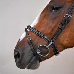 Combinatie Neusriem met Bakstukken en Musketons Working by Dy'on Zwart Combinatie Neusriem met Bakstukken en Musketons Working by Dy'on Zwart