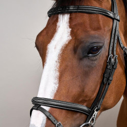 Combinatie Neusriem met Bakstukken en Musketons Working by Dy'on Zwart Combinatie Neusriem met Bakstukken en Musketons Working by Dy'on Zwart