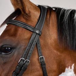 Combinatie Neusriem met Bakstukken en Musketons Working by Dy'on Zwart Combinatie Neusriem met Bakstukken en Musketons Working by Dy'on Zwart