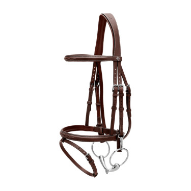 Combinatie Neusriem met Bakstukken en Musketons Working by Dy'on Bruin