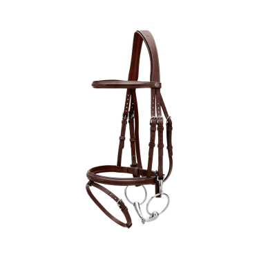 Combinatie Neusriem met Bakstukken en Musketons Working by Dy'on Bruin