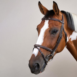 Combinatie Neusriem met Bakstukken en Musketons Working by Dy'on Bruin