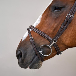 Combinatie Neusriem met Bakstukken en Musketons Working by Dy'on Bruin