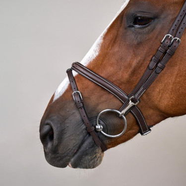 Combinatie Neusriem met Bakstukken en Musketons Working by Dy'on Bruin