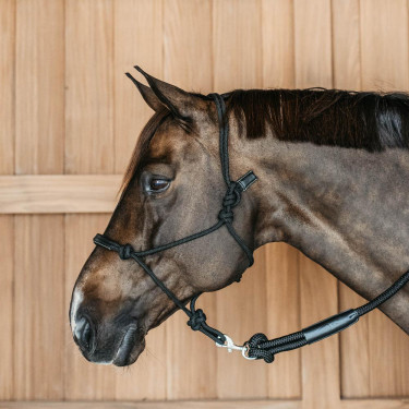 Licol éthologique Dy'on Noir Licol éthologique Dy'on Noir