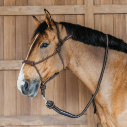Ethologisch halster Dy'on Bruin