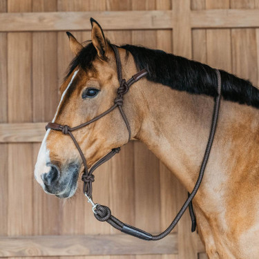 Licol éthologique Dy'on Marron