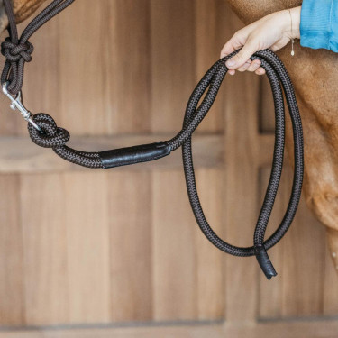 Longe Dy'on avec mousqueton Marron