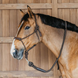 Longe Dy'on avec mousqueton Marron