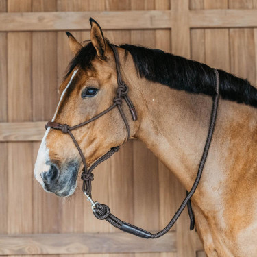 Longe Dy'on met musketon Bruin