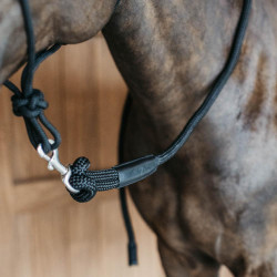 Longe d'entrainement Dy'on avec mousqueton Noir