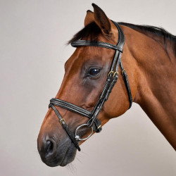 Bridon Dy'on D collectie gecombineerde gevlochten neusriem Zwart