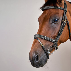 Bridon Dy'on D collection muserolle combinée tréssé Noir