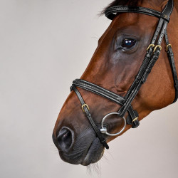 Bridon Dy'on D collection muserolle combinée tréssé Noir