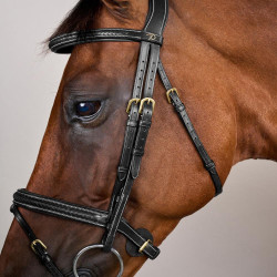 Bridon Dy'on D collection muserolle combinée tréssé Noir