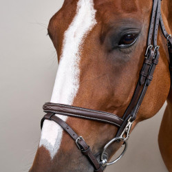 Bridon Working by Dy'on gecombineerde neusriem met karabijnhaken Bruin