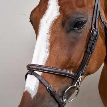 Bridon Working by Dy'on muserolle combinée avec mousquetons Marron