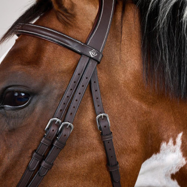 Bridon Working by Dy'on gecombineerde neusriem met karabijnhaken Bruin