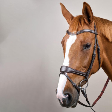 Bridon Working by Dy'on avec liberté de mouvement Marron