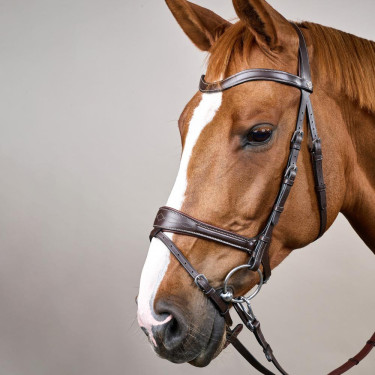 Bridon Working by Dy'on avec liberté de mouvement Marron