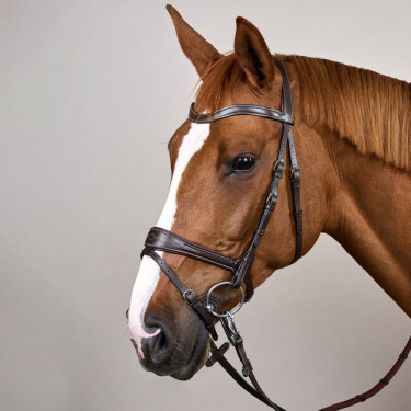 Bridon Working van Dy'on met bewegingsvrijheid Bruin