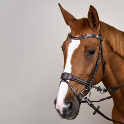 Bridon Working by Dy'on avec liberté de mouvement Marron