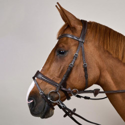 Bridon Working van Dy'on met bewegingsvrijheid Bruin