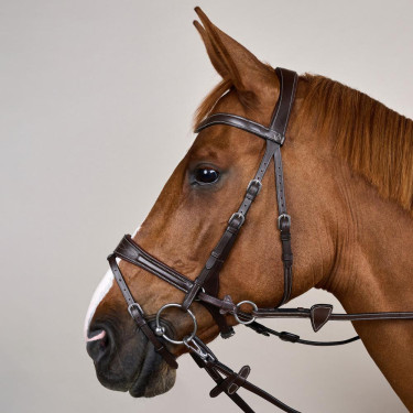 Bridon Working van Dy'on met bewegingsvrijheid Bruin