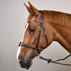 Bridon Working van Dy'on met bewegingsvrijheid Bruin