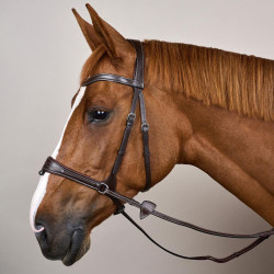 Bridon Working van Dy'on met bewegingsvrijheid Bruin