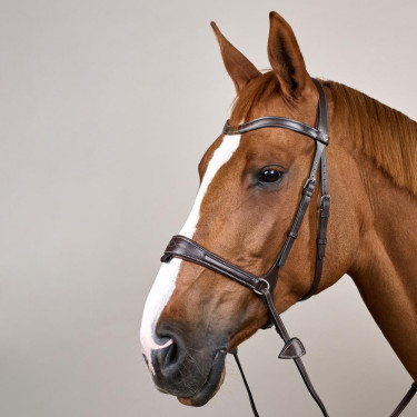 Bridon Working van Dy'on met bewegingsvrijheid Bruin