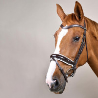 Bridon Working by Dy'on Combiné Neusriem Breed Vernis Witte Voering Zwart