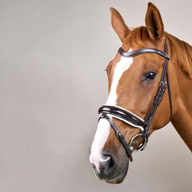 Bridon Working by Dy'on Combiné Neusriem Breed Vernis Witte Voering Bruin