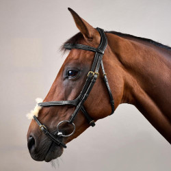 Bridon Muserolle Croisée Tressée D Collection Dy'on Noir