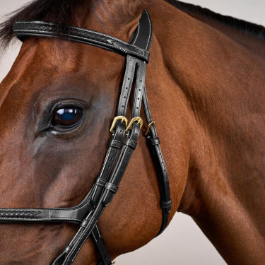 Gevlochten Mexicaanse Neusriem Hoofdstel D Collection Dy'on Zwart Gevlochten Mexicaanse Neusriem Hoofdstel D Collection Dy'on Zwart