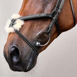 Bridon Muserolle Croisée Tressée D Collection Dy'on Noir