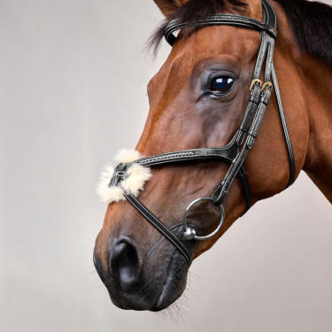 Bridon Muserolle Croisée Tressée D Collection Dy'on Noir