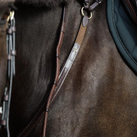 **Gevlochten Borsttuig D Collection Dy'on** Zwart