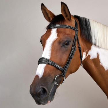 Muserolle Anatomique sans Sous Barbe Collection US Jumping Dy'on Noir