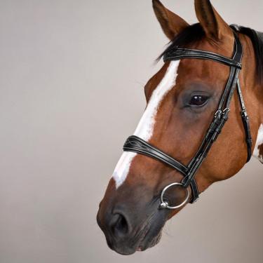 Anatomische Neusriem zonder Kinriem Collectie US Jumping Dy'on Zwart