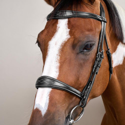 Anatomische Neusriem zonder Kinriem Collectie US Jumping Dy'on Zwart