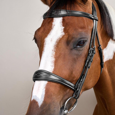 Muserolle Anatomique sans Sous Barbe Collection US Jumping Dy'on Noir