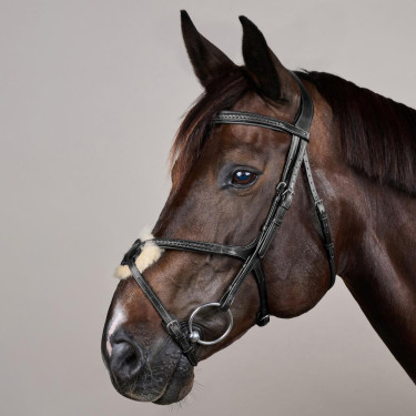 Gevlochten Lage Neusriem Hoofdstel New English Collection Dy'on Zwart