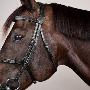 Bridon Muserolle Croisée Tressée New English Collection Dy'on Noir