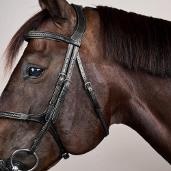 Gevlochten Lage Neusriem Hoofdstel New English Collection Dy'on Zwart